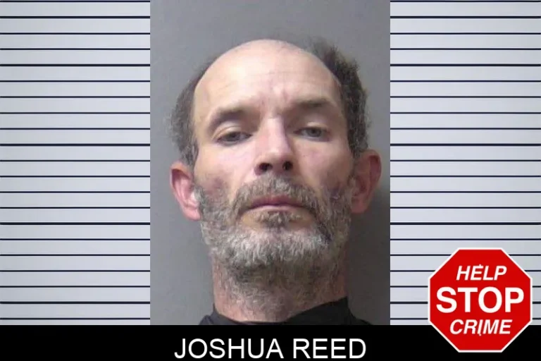 JoshuA Reed
