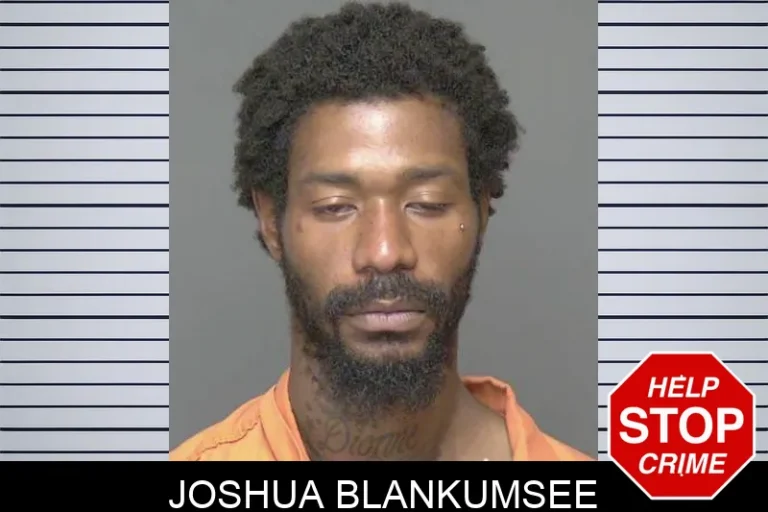 Joshua Blankumsee