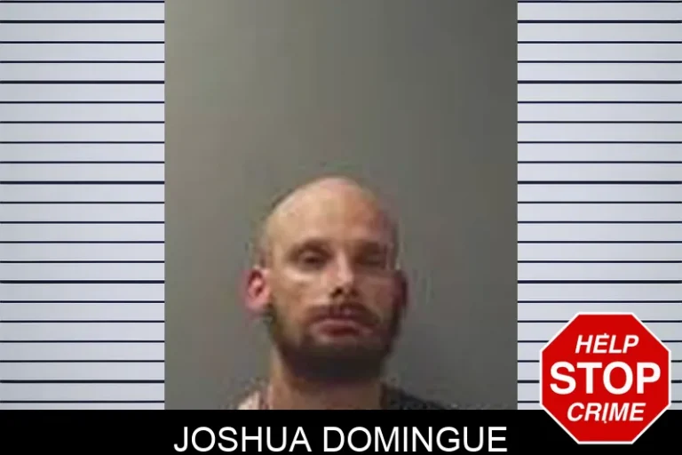 Joshua Domingue