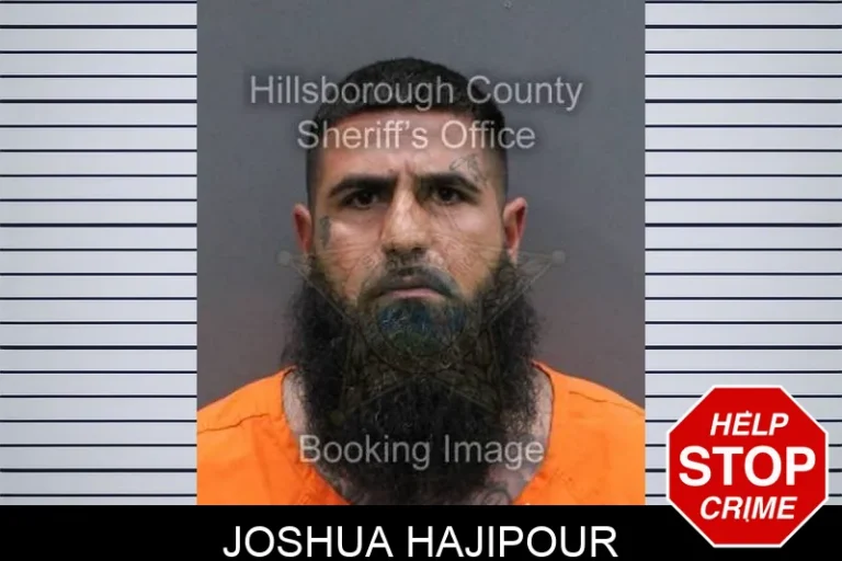 Joshua Hajipour