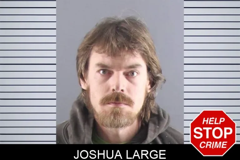 Joshua Large