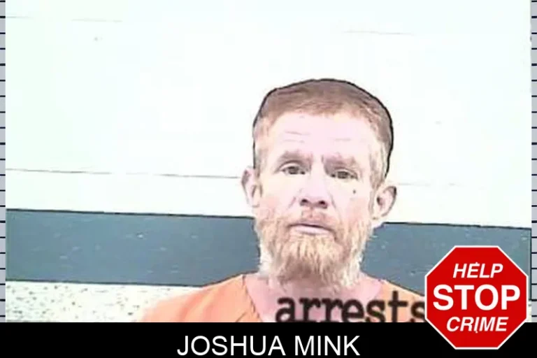Joshua Mink