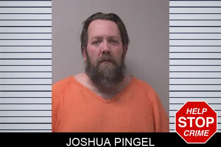 Joshua Pingel