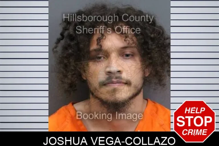 Joshua Vega-Collazo