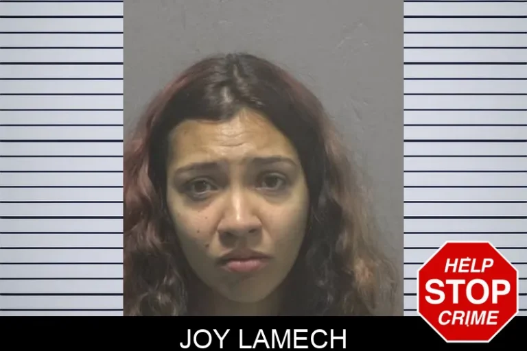 Joy Lamech