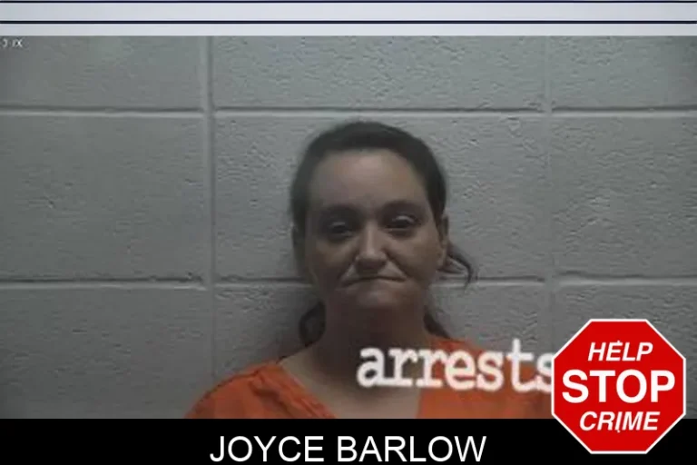 Joyce Barlow
