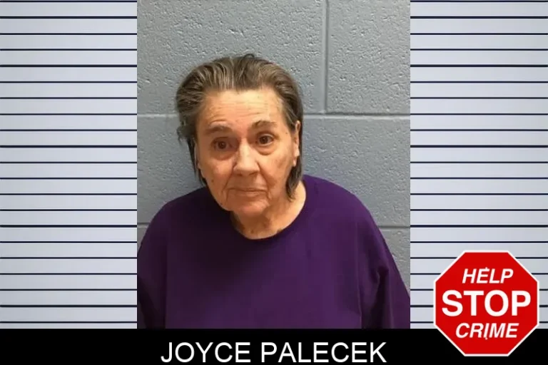 Joyce Palecek