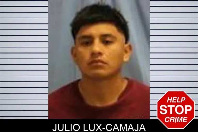 JuLio LuX-Camaja