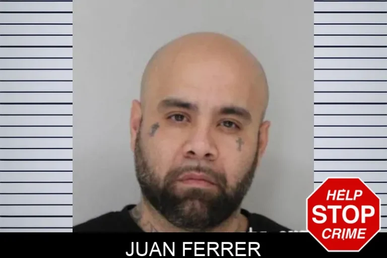 Juan Ferrer