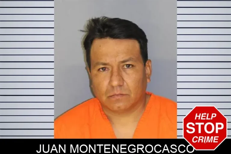 Juan Montenegrocasco