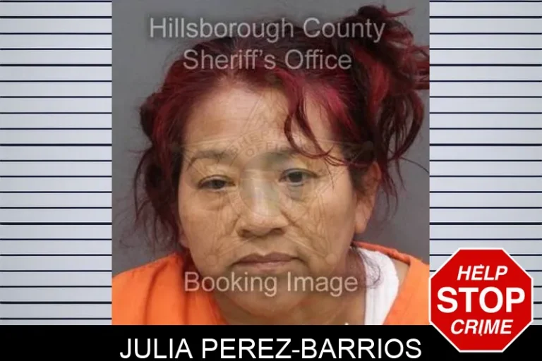 Julia Perez-Barrios
