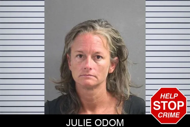 Julie Odom