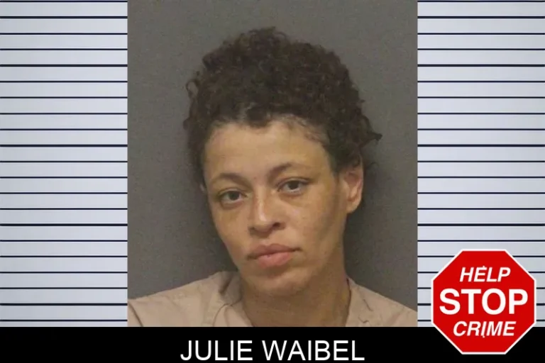 Julie Waibel