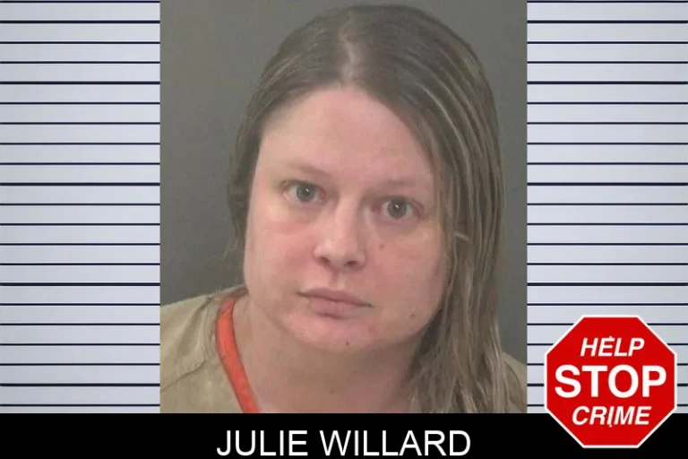 Julie Willard