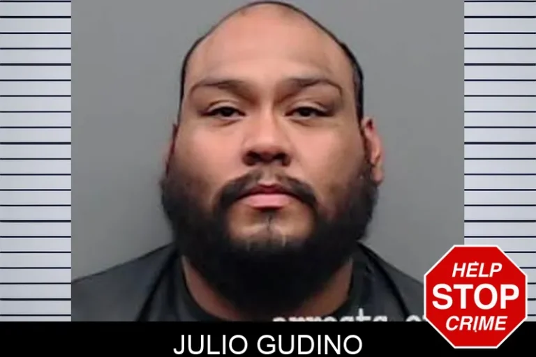 Julio Gudino