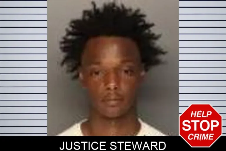 Justice Steward