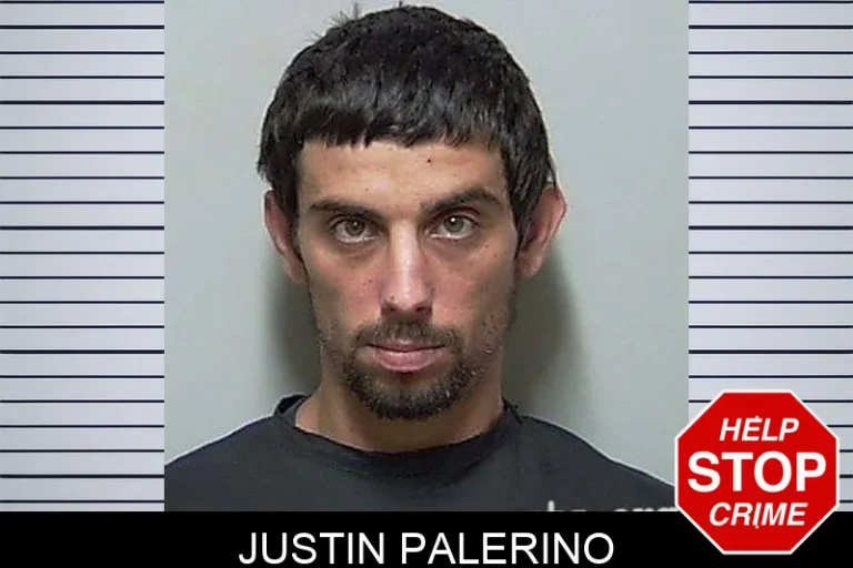 Justin Palerino