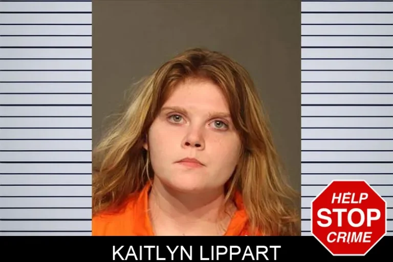 Kaitlyn Lippart