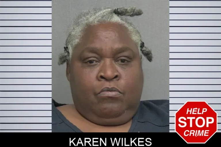 Karen Wilkes