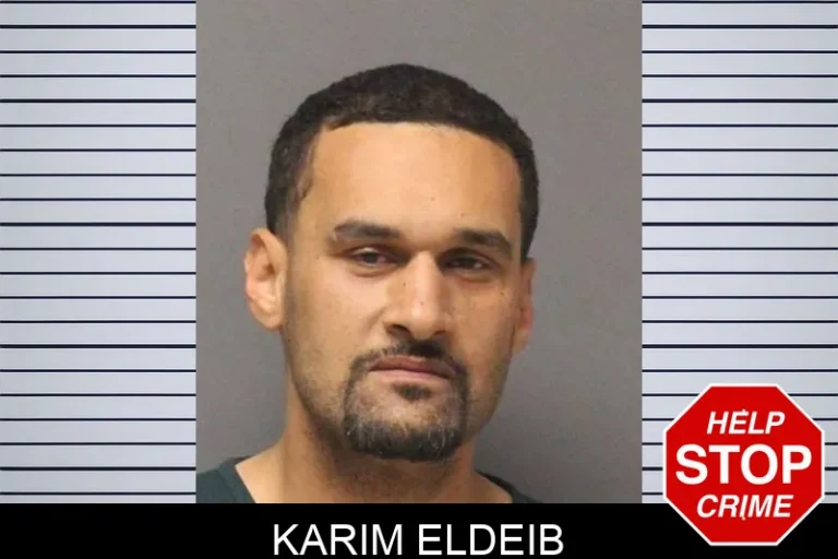 Karim Eldeib