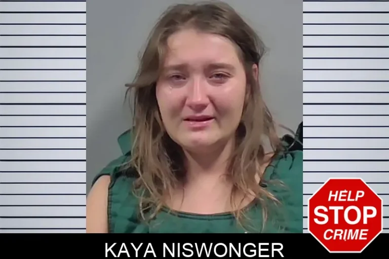 Kaya Niswonger