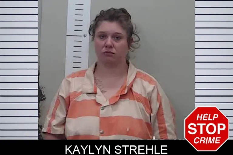 Kaylyn Strehle