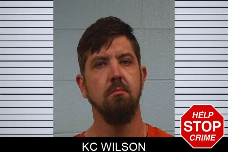 Kc Wilson