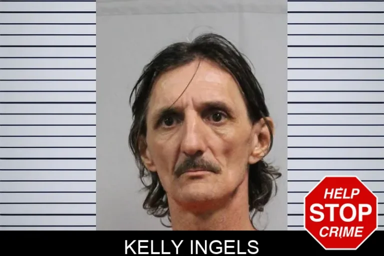 Kelly Ingels