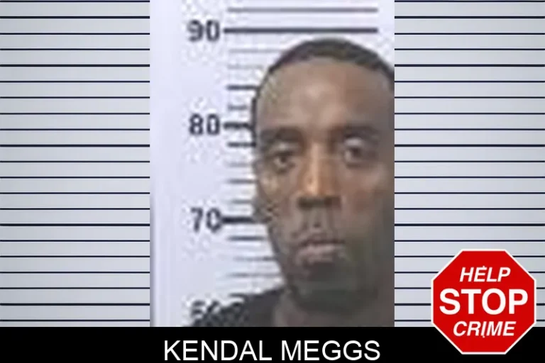 Kendal Meggs