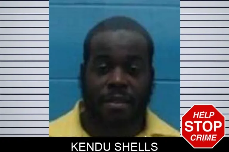Kendu Shells