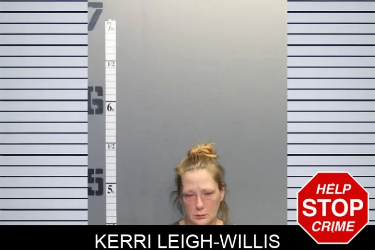 Kerri Leigh-Willis