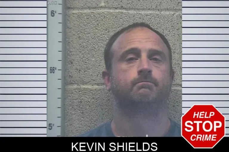 Kevin Shields