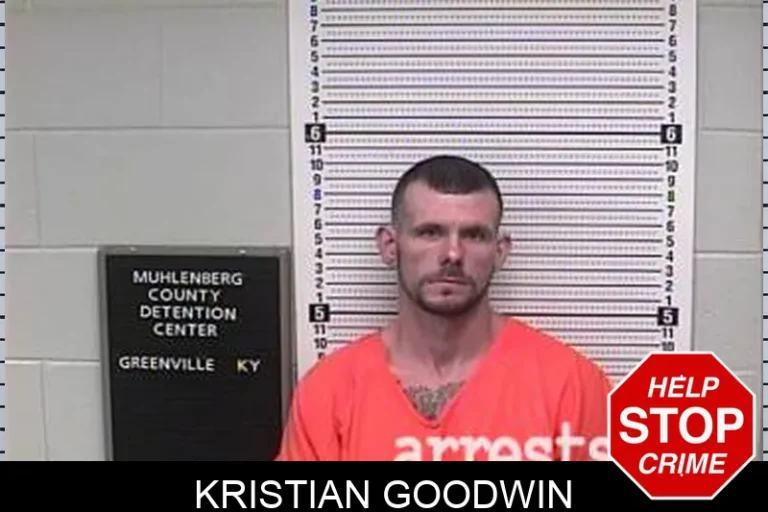 Kristian Goodwin
