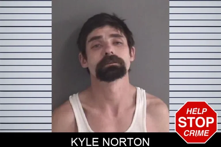 Kyle Norton