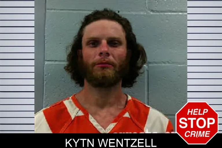 Kytn Wentzell