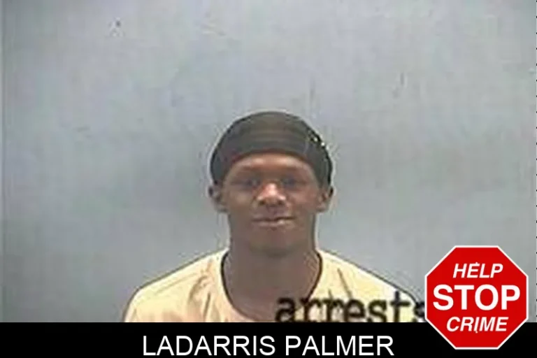 Ladarris Palmer