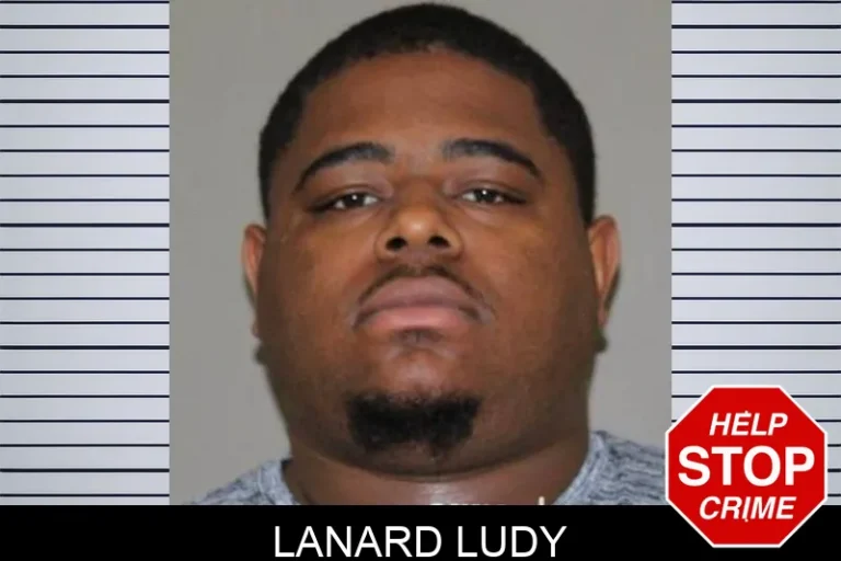 Lanard LuDy