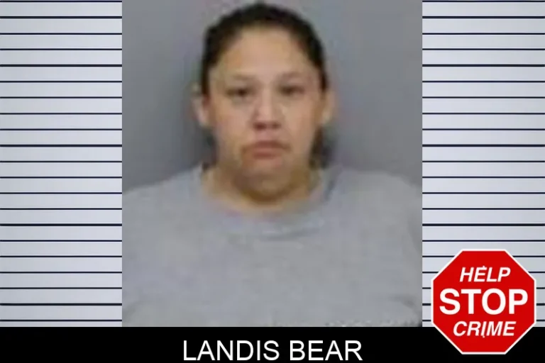 Landis Bear