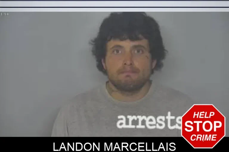 Landon Marcellais
