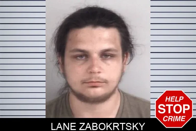 Lane Zabokrtsky