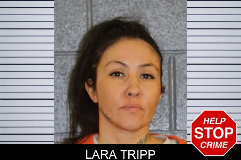 Lara Tripp