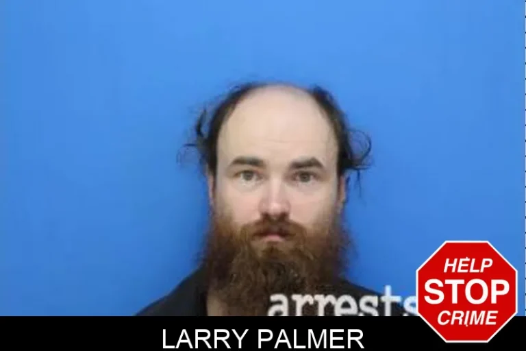 Larry Palmer