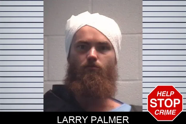 Larry Palmer
