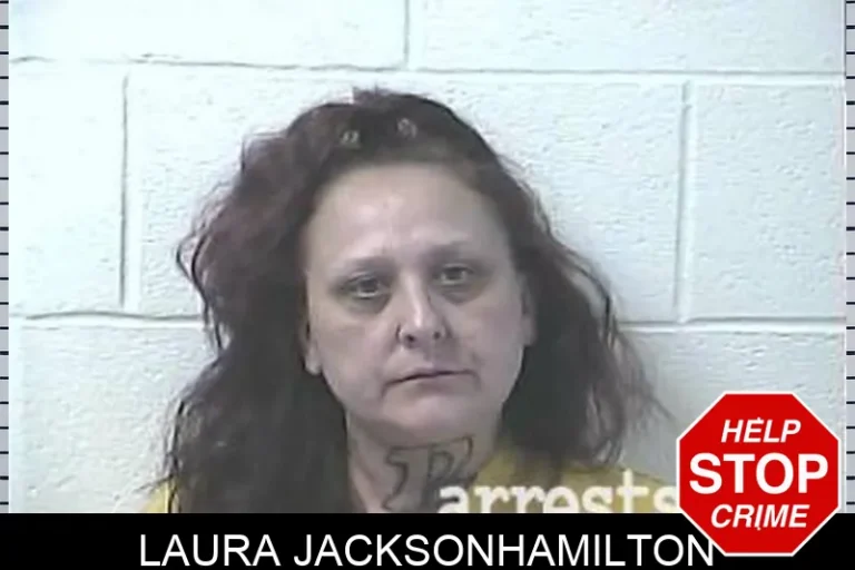 Laura Jacksonhamilton