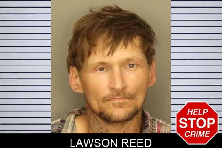 Lawson Reed
