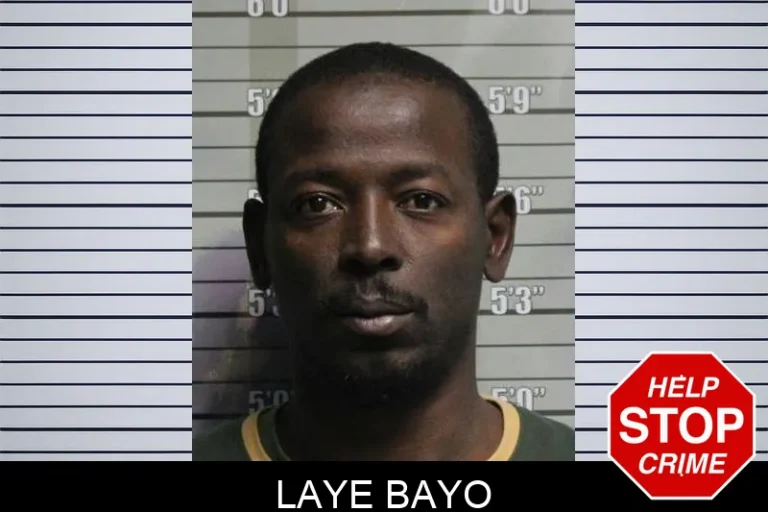 Laye Bayo