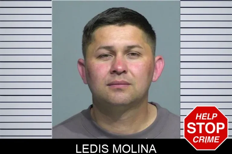 Ledis Molina