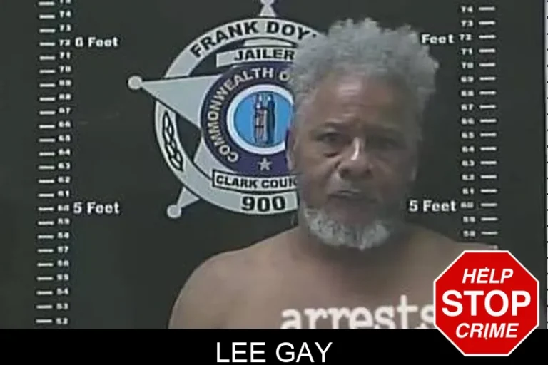 Lee Gay