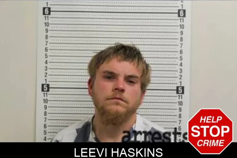 Leevi Haskins