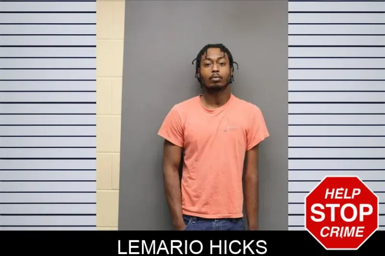 Lemario Hicks